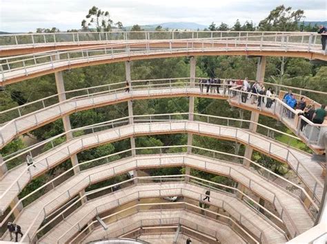 Man nearly crushed by part of tree in 'freak accident' at Beyond The Trees attraction in Wicklow ...