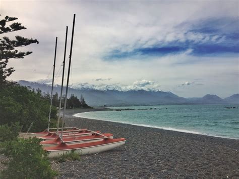 THE SCENIC KAIKOURA PENINSULA WALKWAY (101 GUIDE)