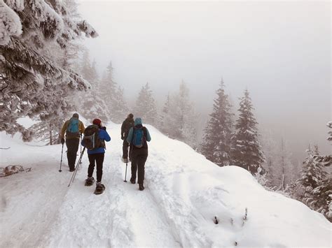 Wenatchee Crest Trail - Washington | AllTrails