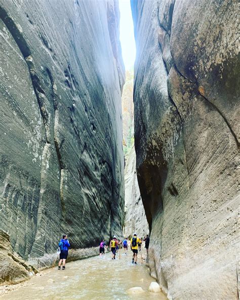 Hiked the entire Narrows at Zion National Park, Utah, USA, from the top ...