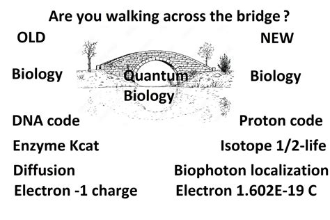 Quantum biology online course — Quantum Biology Research Institute