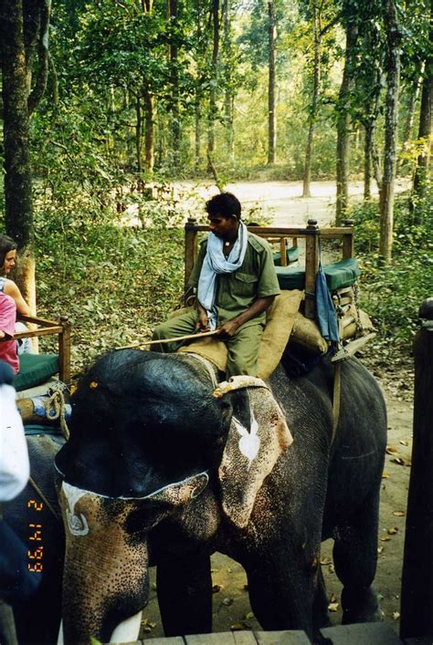 Elephant safari - Chitwan National Park - Nepal | National parks, Nepal, Safari