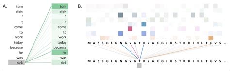 Visualisations of the attention weights in transformer models. (A) A... | Download Scientific ...