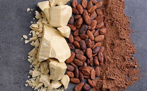 Where to Buy Cocoa Butter: Top 3 Sources for Natural Organic Unrefined ...