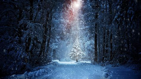 🔥 [51+] Snowfall Wallpapers | WallpaperSafari