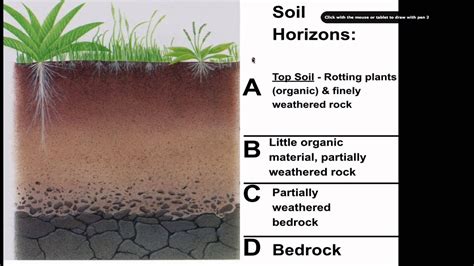 Soil Formation Steps