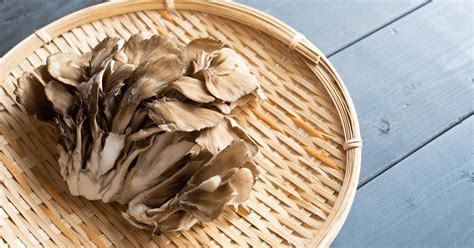 Growing Maitake Mushrooms (Hen-of-the-Woods): Complete Guide