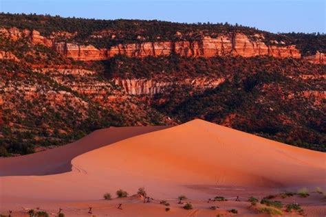 Coral Pink Sand Dunes State Park Utah: things to do, map and tours