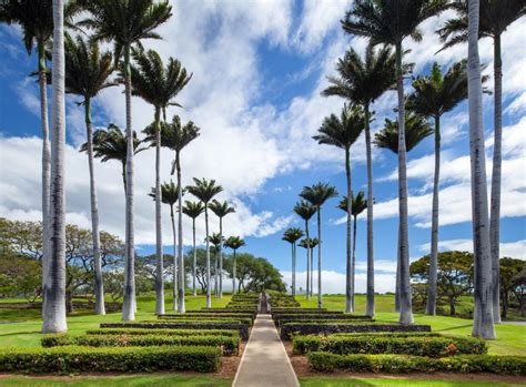 The Westin Hapuna Beach Resort | Go Hawaii