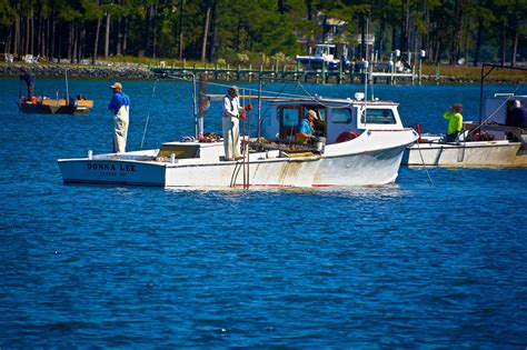 Tonging for Oysters. Chesapeake Bay’s oysters were the pride of what Native Americans called ...