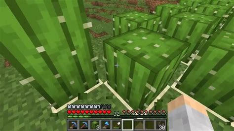 16 Amazing Uses Of The Green Dye In Minecraft - Game Specifications