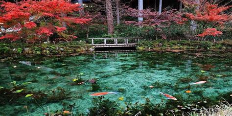 Like a painting Monet’s pond is a new famous sightseeing place of Gifu_8 | JATRABRIDGE