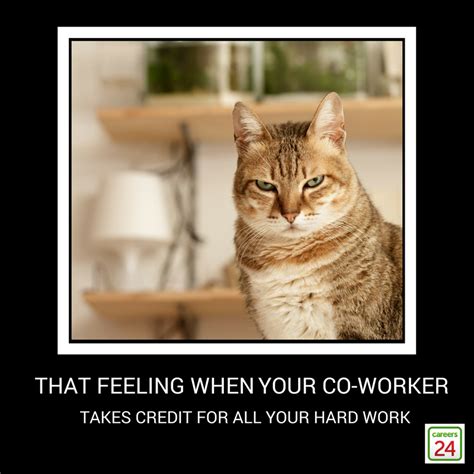 If you have a job, you'll relate to these cats | Careers24