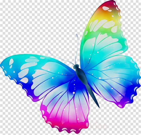 flying butterfly clipart transparent background - Clip Art Library