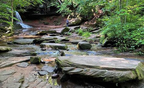 160 Additional Acres in the Lost Creek Watershed Permanently Protected - Landmark Conservancy