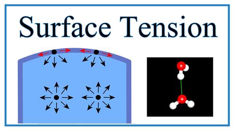 Surface Tension of Water Explained - YouTube