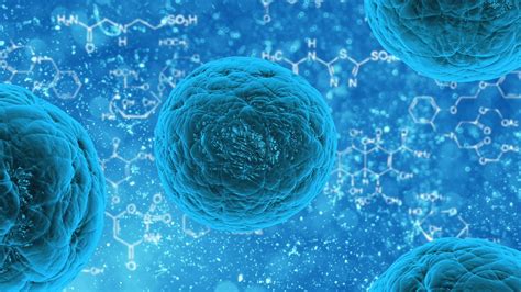 The Gene and Cell Therapy Market