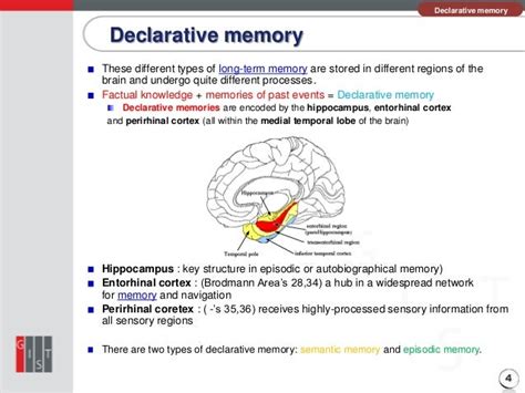 😂 Examples of declarative memory psychology. Episodic, Procedural and Semantic Memory. 2019-02-15