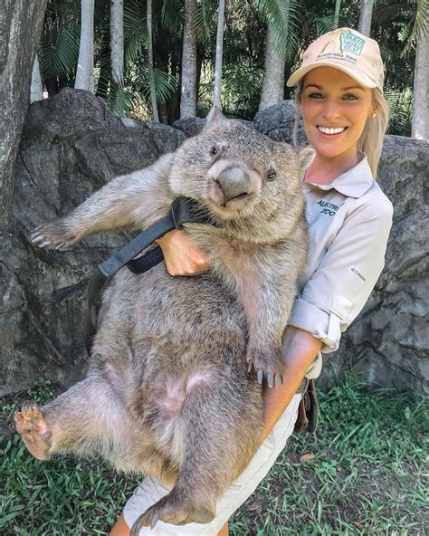 In awe at the size of this wombat lad (Photo by @jesska_sullivan) : r ...