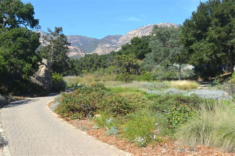 10 BEST Attractions at Santa Barbara Botanic Garden - CityBOP