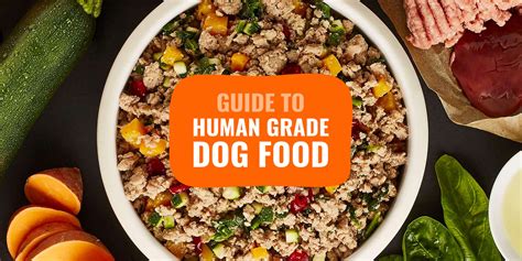 Best Human Grade Dog Foods – Top 5, Reviews, Benefits & FAQ