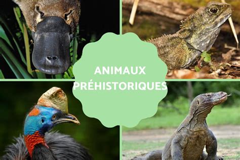 Animaux préhistoriques : encore en vie et disparus