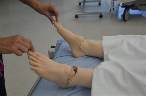 2.5 Head-to-Toe Assessment – Clinical Procedures for Safer Patient Care