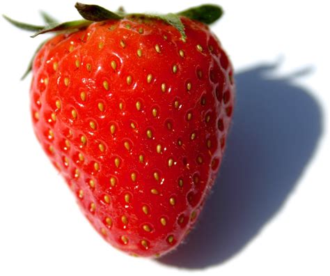 Fájl:Fragaria Fruit Close-up.jpg – Wikipédia