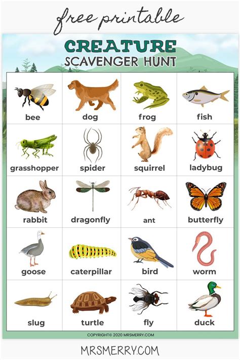 Creaure Scavenger Hunt for Kids - Outdoor Activity - Free Kids Printable - Mrs. Merry | Animal ...