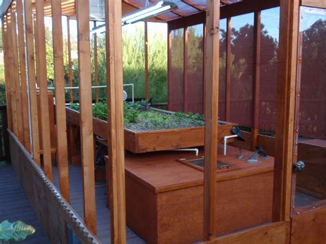 Aquaponics for Beginners