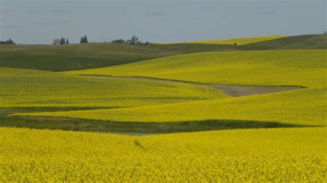 North Dakota Landscapes (Minot, USA) - Travellerspoint Travel Photography