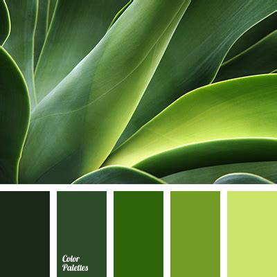 forest green | Color Palette Ideas