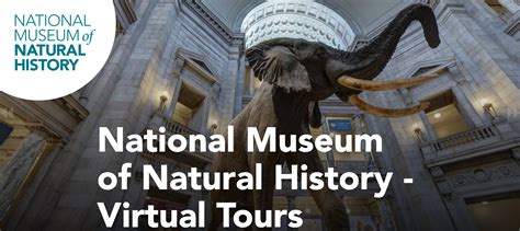 National Museum of Natural History – Virtual Tours – All Things Girl Scouts