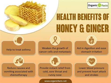 The health benefits of honey and ginger in treating respiratory problems are unmatched by any ...