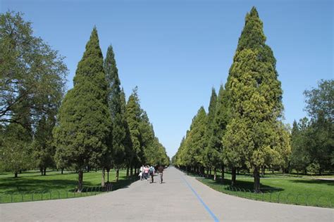 118 | Temple of Heaven, Beijing | Kris | Flickr