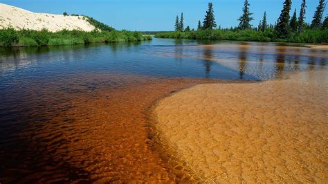 Athabasca Sand Dunes Provincial Park