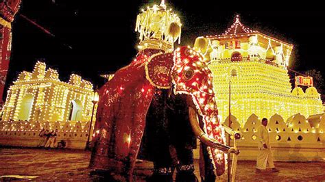 Kandy Esala Perahera festival to begin on July 29 – The Island