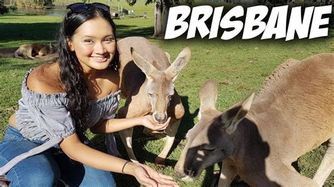 Hugging Koala and playing with kangaroos in Brisbane (Australia) | Travel Vlog #46 - YouTube