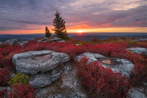 Autumn sunrise from Bear Rocks Preserve. | Dolly Sods Wilderness, West Virginia | Joseph ...