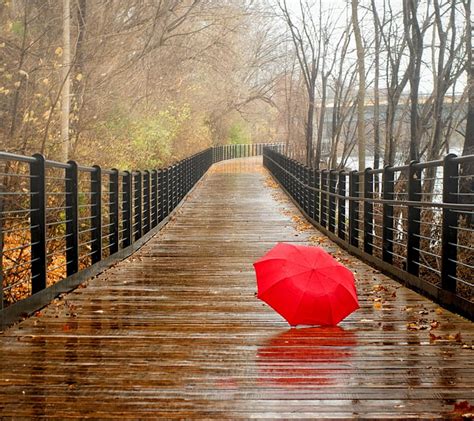 Rainy Day, awesome, love, HD wallpaper | Peakpx