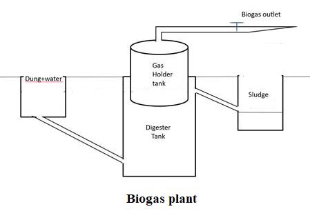 Draw a labelled diagram of typical biogas plant