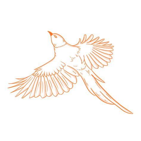 Magpie White Transparent, Magpie, Auspicious, Bird, National Tide PNG Image For Free Download