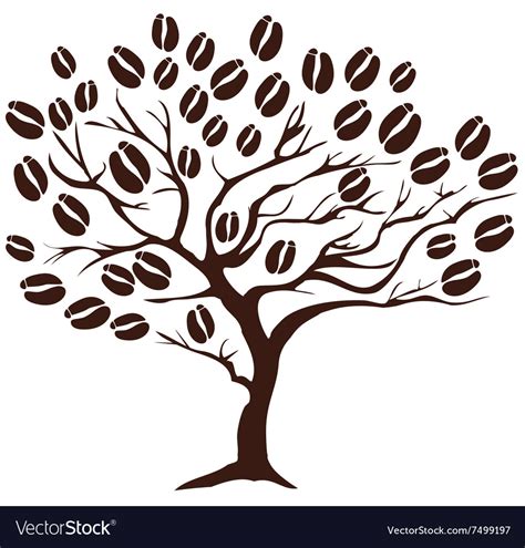 Coffee tree Royalty Free Vector Image - VectorStock