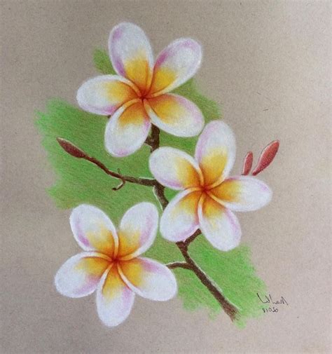 Branche fleurie coloré, dessin crayon couleur, dessin de fleur sur ...