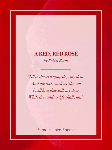 Read The 55 Best Poems About Love for Every Occasion