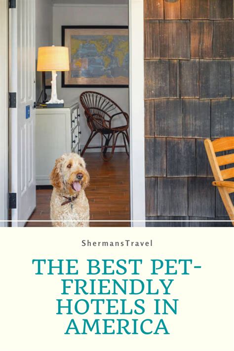 The best hotels that allow pets. America's best pet-friendly hotels. | Pet friendly hotels ...