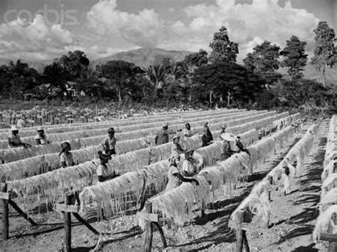 Pin by Scott Jacobsen on Haiti | Haiti history, Haiti, Port au prince