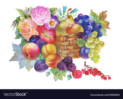 Colorful summer ripe fruits basket watercolor Vector Image