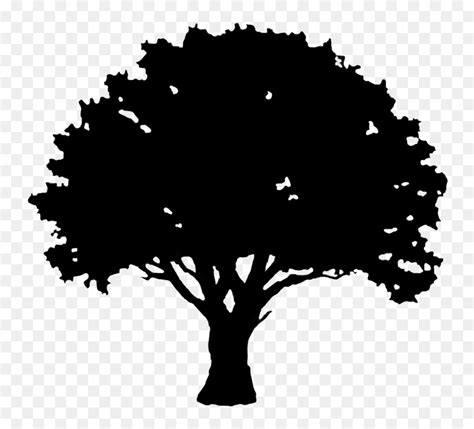 Simple Oak Tree Silhouette, HD Png Download - vhv