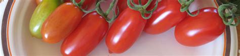 Roma Tomato Seeds – West Coast Seeds